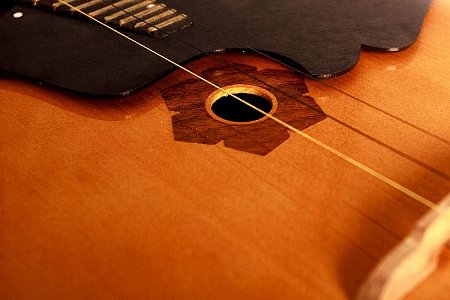 Домра малая F301 купить в Москве: цены, доставка, фото Домра малая F301 купить в Москве: цены, доставка, фото