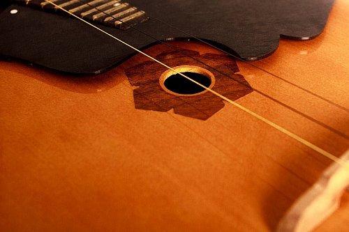 Домра малая F301 купить в Москве: цены, доставка, фото Домра малая F301 купить в Москве: цены, доставка, фото