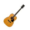 IBANEZ PF17-LG DREADNOUGHT акустическая гитара купить в Москве: цены, доставка, фото IBANEZ PF17-LG DREADNOUGHT акустическая гитара купить в Москве: цены, доставка, фото