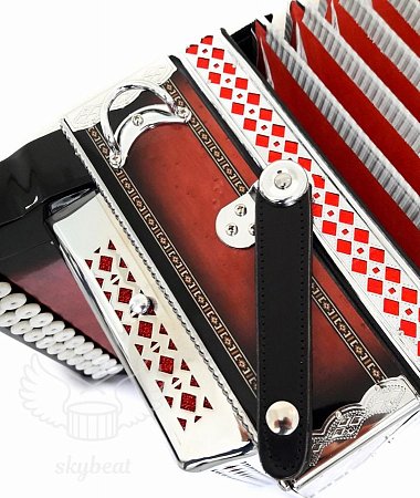 Гармонь многотембровая Littau 25/25/6/4 rd купить в Москве: цены, доставка, фото Гармонь многотембровая Littau 25/25/6/4 rd купить в Москве: цены, доставка, фото