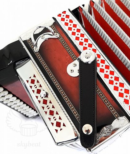 Гармонь многотембровая Littau 25/25/6/4 rd купить в Москве: цены, доставка, фото Гармонь многотембровая Littau 25/25/6/4 rd купить в Москве: цены, доставка, фото