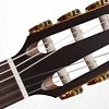 TAKAMINE PRO SERIES 3 P3FCN классическая электроакустическая гитара типа FXC с кейсом, цвет натуральный купить в Москве: цены, доставка, фото TAKAMINE PRO SERIES 3 P3FCN классическая электроакустическая гитара типа FXC с кейсом, цвет натуральный купить в Москве: цены, доставка, фото