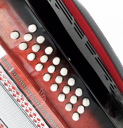 Гармонь многотембровая Littau 25/25/6/4 rd купить в Москве: цены, доставка, фото Гармонь многотембровая Littau 25/25/6/4 rd купить в Москве: цены, доставка, фото