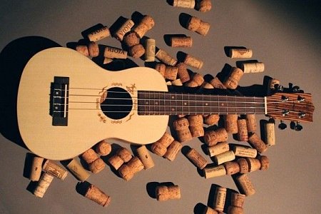 Укулеле FLIGHT DUC 325 SP/ZEB купить в Москве: цены, доставка, фото Укулеле FLIGHT DUC 325 SP/ZEB купить в Москве: цены, доставка, фото