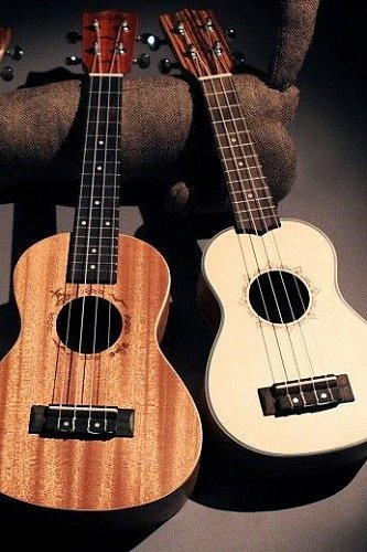 Укулеле FLIGHT DUS 320 CEQ SP/ZEB CEQ купить в Москве: цены, доставка, фото Укулеле FLIGHT DUS 320 CEQ SP/ZEB CEQ купить в Москве: цены, доставка, фото