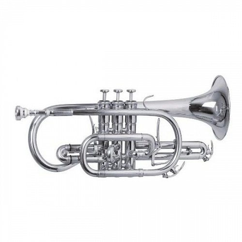 ROY BENSON CR-302S корнет с триггером купить в Москве: цены, доставка, фото ROY BENSON CR-302S корнет с триггером купить в Москве: цены, доставка, фото