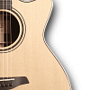 FURCH Green OMc-SR Акустическая гитара с кейсом купить в Москве: цены, доставка, фото FURCH Green OMc-SR Акустическая гитара с кейсом купить в Москве: цены, доставка, фото