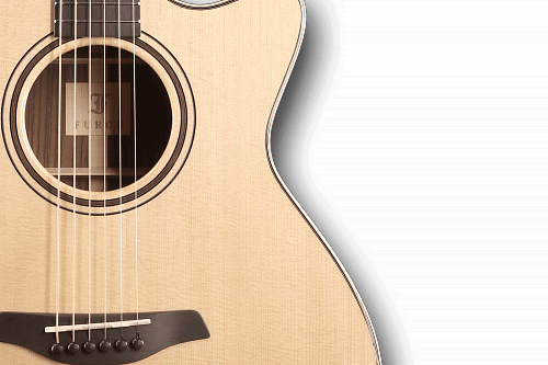 FURCH Green OMc-SR Акустическая гитара с кейсом купить в Москве: цены, доставка, фото FURCH Green OMc-SR Акустическая гитара с кейсом купить в Москве: цены, доставка, фото