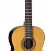 TAKAMINE CLASSIC SERIES C132S электроакустическая классическая гитара с кейсом купить в Москве: цены, доставка, фото TAKAMINE CLASSIC SERIES C132S электроакустическая классическая гитара с кейсом купить в Москве: цены, доставка, фото