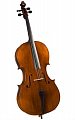 Виолончель HANS KLEIN HKC-10S 1/8 купить в Москве: цены, доставка, фото Виолончель HANS KLEIN HKC-10S 1/8 купить в Москве: цены, доставка, фото