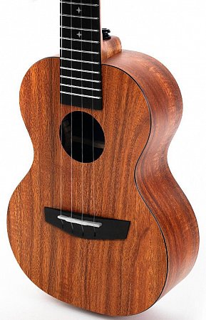 Укулеле Enya EUC-X1 купить в Москве: цены, доставка, фото Укулеле Enya EUC-X1 купить в Москве: цены, доставка, фото