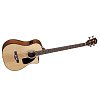 FENDER CB-100CE ACOUSTIC BASS акустическая бас-гитара купить в Москве: цены, доставка, фото FENDER CB-100CE ACOUSTIC BASS акустическая бас-гитара купить в Москве: цены, доставка, фото