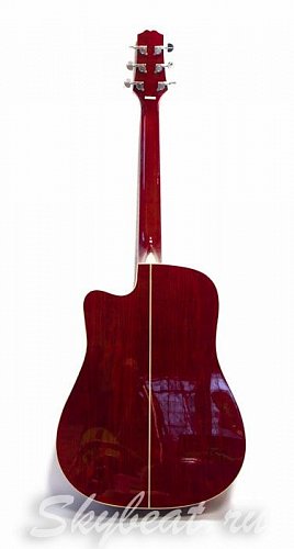 Акустическая гитара Axen ADC-601GTPL купить в Москве: цены, доставка, фото Акустическая гитара Axen ADC-601GTPL купить в Москве: цены, доставка, фото