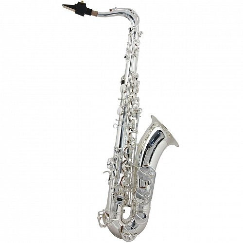 Тенор саксофон Trevor James SR 384SR-SS купить в Москве: цены, доставка, фото Тенор саксофон Trevor James SR 384SR-SS купить в Москве: цены, доставка, фото