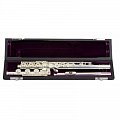 Флейта Trevor James Privilege 31PF-HROE купить в Москве: цены, доставка, фото Флейта Trevor James Privilege 31PF-HROE купить в Москве: цены, доставка, фото