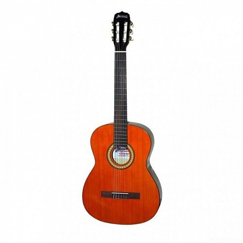 Mustang MGC1GY классическая гитара купить в Москве: цены, доставка, фото Mustang MGC1GY классическая гитара купить в Москве: цены, доставка, фото