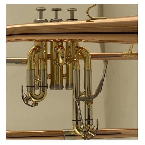 Флюгельгорн WISEMANN FLH-600 купить в Москве: цены, доставка, фото Флюгельгорн WISEMANN FLH-600 купить в Москве: цены, доставка, фото