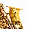 Саксофон Альт Condor CAS-460 купить в Москве: цены, доставка, фото Саксофон Альт Condor CAS-460 купить в Москве: цены, доставка, фото
