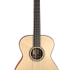 FURCH Green OM-SM Акустическая гитара с кейсом купить в Москве: цены, доставка, фото FURCH Green OM-SM Акустическая гитара с кейсом купить в Москве: цены, доставка, фото