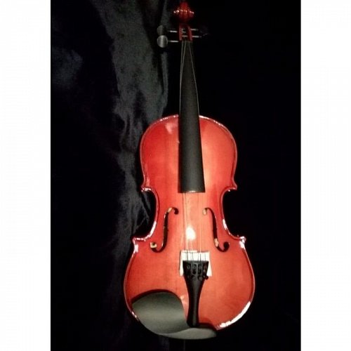 Скрипка BRAHNER BVC-470T/RDS 4/4 купить в Москве: цены, доставка, фото Скрипка BRAHNER BVC-470T/RDS 4/4 купить в Москве: цены, доставка, фото