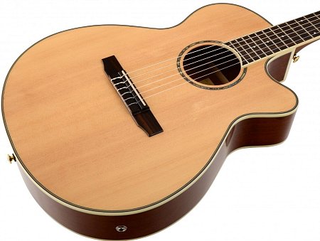IBANEZ AEG10NII-NT гитара электроакустическая с нейлоновыми струнами купить в Москве: цены, доставка, фото IBANEZ AEG10NII-NT гитара электроакустическая с нейлоновыми струнами купить в Москве: цены, доставка, фото