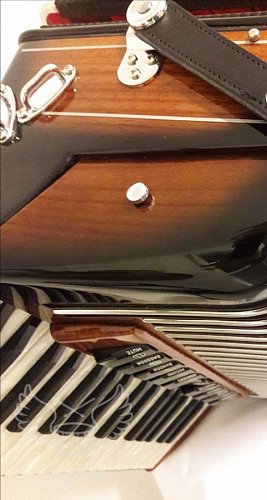 Аккордеон Littau 96/4 11/4R sb купить в Москве: цены, доставка, фото Аккордеон Littau 96/4 11/4R sb купить в Москве: цены, доставка, фото