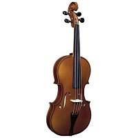 Альты купить в Москве: цены, доставка, фото Альты купить в Москве: цены, доставка, фото