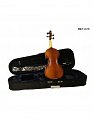 Скрипка HANS KLEIN HKV-2 GW 3/4 купить в Москве: цены, доставка, фото Скрипка HANS KLEIN HKV-2 GW 3/4 купить в Москве: цены, доставка, фото
