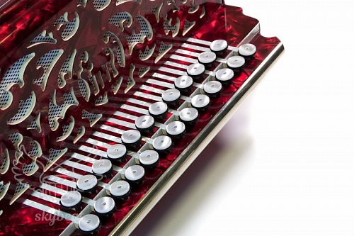 Гармонь Тульская ЗАКАЗНАЯ с 2мя ремнями и чехлом купить в Москве: цены, доставка, фото Гармонь Тульская ЗАКАЗНАЯ с 2мя ремнями и чехлом купить в Москве: цены, доставка, фото