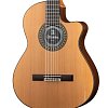6.800 5P CW E8 Классическая гитара, со звукоснимателем, Alhambra купить в Москве: цены, доставка, фото 6.800 5P CW E8 Классическая гитара, со звукоснимателем, Alhambra купить в Москве: цены, доставка, фото