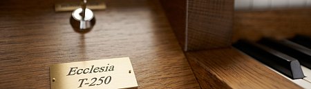 Johannus ECCLESIA Series Ecclesia T250 + Speakers купить в Москве: цены, доставка, фото Johannus ECCLESIA Series Ecclesia T250 + Speakers купить в Москве: цены, доставка, фото