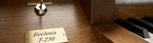 Johannus ECCLESIA Series Ecclesia T250 + Speakers купить в Москве: цены, доставка, фото Johannus ECCLESIA Series Ecclesia T250 + Speakers купить в Москве: цены, доставка, фото