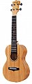 Укулеле Enya EUT-25D купить в Москве: цены, доставка, фото Укулеле Enya EUT-25D купить в Москве: цены, доставка, фото