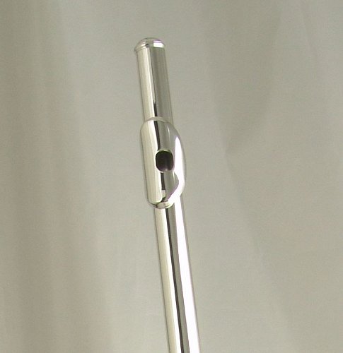 Флейта WISEMANN DFL-385 купить в Москве: цены, доставка, фото Флейта WISEMANN DFL-385 купить в Москве: цены, доставка, фото