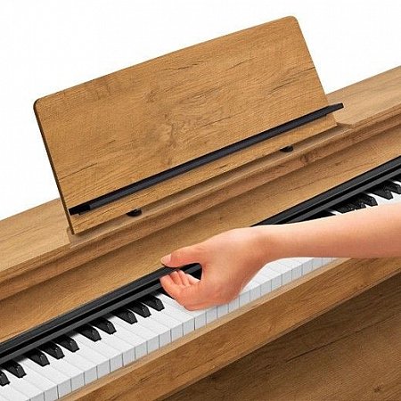 Купить цифровое фортепиано casio privia px-a800bn в магазине Skybeat Купить цифровое фортепиано casio privia px-a800bn в магазине Skybeat