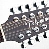 TAKAMINE ARTIST JJ325SRC-12 JOHN JORGENSON SIGNATURE 12-ти струнная электроакустическая гитара с кейсом типа DREADNOUGHT CUTAWAY купить в Москве: цены, доставка, фото TAKAMINE ARTIST JJ325SRC-12 JOHN JORGENSON SIGNATURE 12-ти струнная электроакустическая гитара с кейсом типа DREADNOUGHT CUTAWAY купить в Москве: цены, доставка, фото