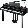 ROLAND RG-1F-SB цифровой рояль (компл.) купить в Москве: цены, доставка, фото ROLAND RG-1F-SB цифровой рояль (компл.) купить в Москве: цены, доставка, фото