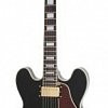 EPIPHONE B.B.KING LUCILLE EBONY GOLD HARDWARE электрогитара купить в Москве: цены, доставка, фото EPIPHONE B.B.KING LUCILLE EBONY GOLD HARDWARE электрогитара купить в Москве: цены, доставка, фото