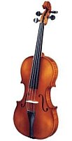 Скрипки купить в Москве: цены, доставка, фото Скрипки купить в Москве: цены, доставка, фото