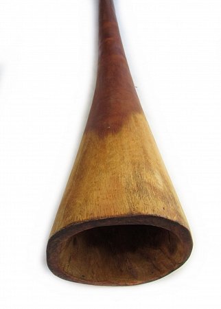 Диджериду из Эвкалипта – До # – 150 см (Трампет Фа#, Ре, ) продажа в Москве Диджериду из Эвкалипта – До # – 150 см (Трампет Фа#, Ре, ) купить в Москве: цены, доставка, фото