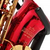 ROY BENSON AS-202R Eb альт саксофон (красн. лак) купить в Москве: цены, доставка, фото ROY BENSON AS-202R Eb альт саксофон (красн. лак) купить в Москве: цены, доставка, фото