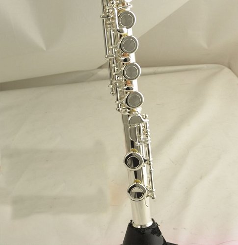 Флейта WISEMANN DFL-385 купить в Москве: цены, доставка, фото Флейта WISEMANN DFL-385 купить в Москве: цены, доставка, фото