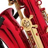 ROY BENSON AS-202R Eb альт саксофон (красн. лак) купить в Москве: цены, доставка, фото ROY BENSON AS-202R Eb альт саксофон (красн. лак) купить в Москве: цены, доставка, фото