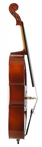 Виолончель KARL HEINLICH THC-37 1/2 купить в Москве: цены, доставка, фото Виолончель KARL HEINLICH THC-37 1/2 купить в Москве: цены, доставка, фото