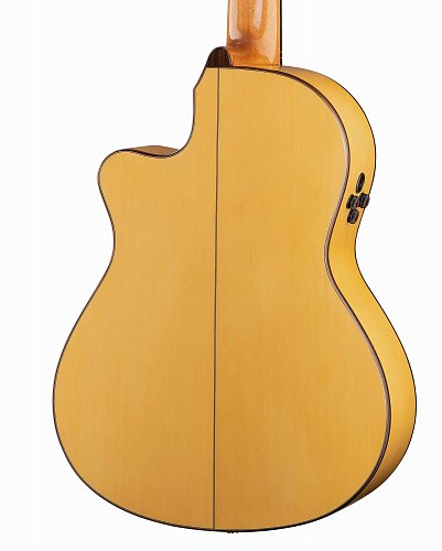 6.770 Flamenco Conservatory 7FC Классическая гитара со звукоснимателем E8, с вырезом, Alhambra купить в Москве: цены, доставка, фото 6.770 Flamenco Conservatory 7FC Классическая гитара со звукоснимателем E8, с вырезом, Alhambra купить в Москве: цены, доставка, фото
