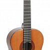 Электроакустическая гитара YAMAHA CX40 купить в Москве: цены, доставка, фото Электроакустическая гитара YAMAHA CX40 купить в Москве: цены, доставка, фото