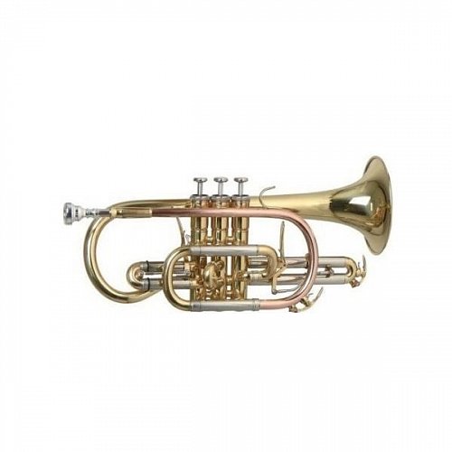 ROY BENSON CR-302 корнет с триггером купить в Москве: цены, доставка, фото ROY BENSON CR-302 корнет с триггером купить в Москве: цены, доставка, фото