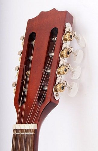 M1089 Irish Bouzouki Бузуки Hora купить в Москве: цены, доставка, фото M1089 Irish Bouzouki Бузуки Hora купить в Москве: цены, доставка, фото