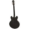 EPIPHONE DOT EBONY полуакустическая электрогитара купить в Москве: цены, доставка, фото EPIPHONE DOT EBONY полуакустическая электрогитара купить в Москве: цены, доставка, фото