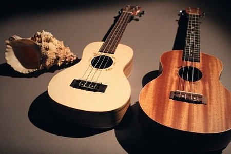 Укулеле FLIGHT DUC 325 SP/ZEB купить в Москве: цены, доставка, фото Укулеле FLIGHT DUC 325 SP/ZEB купить в Москве: цены, доставка, фото